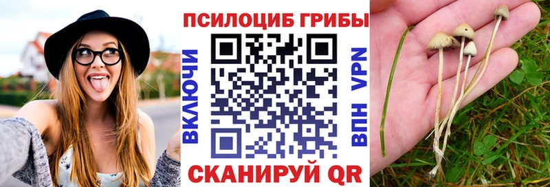 Галлюциногенные грибы GOLDEN TEACHER  Гаврилов Посад 