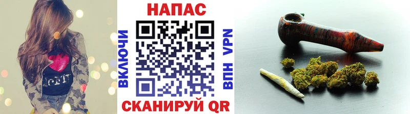 сколько стоит  Гаврилов Посад  кракен ССЫЛКА  МАРИХУАНА семена 